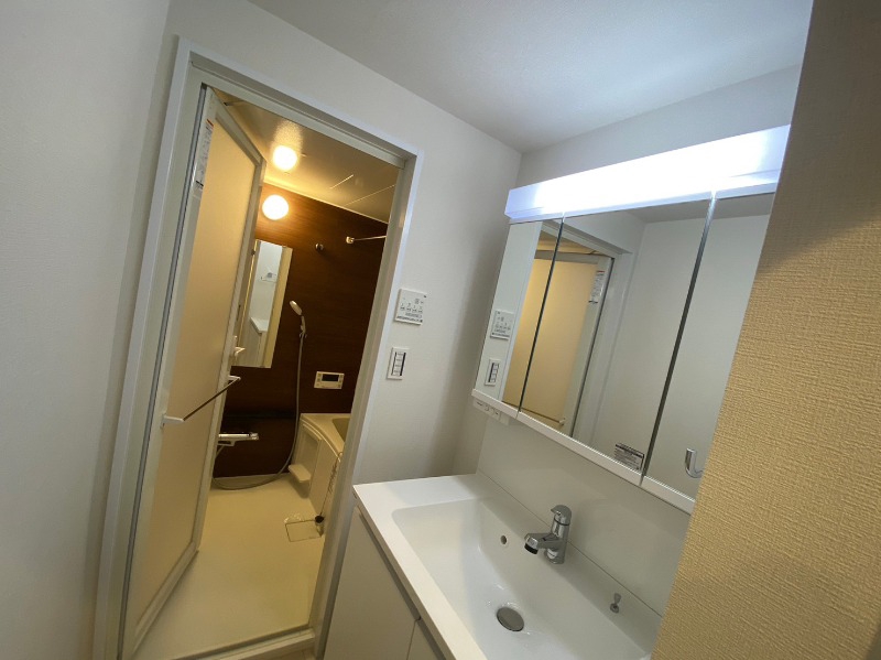 ピラミデ川口 洗面