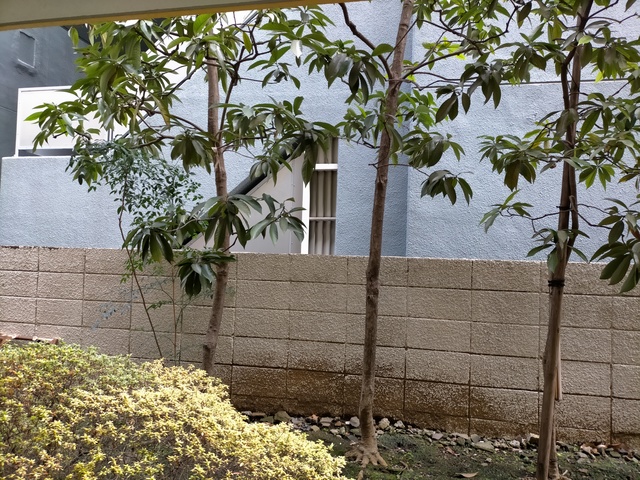 サンライズ東中野0102号室 展望