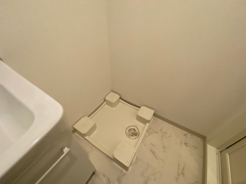 ドムス・スタイル銀座東 室内洗濯機置場