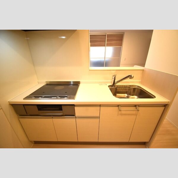 Dスクエア元本郷205号室 対面式システムキッチン