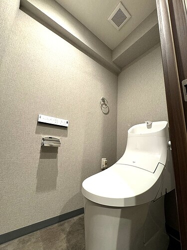 ライオンズマンション調布国領2階 トイレ