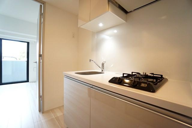 ALTERNA菊川Ⅱ5階 玄関