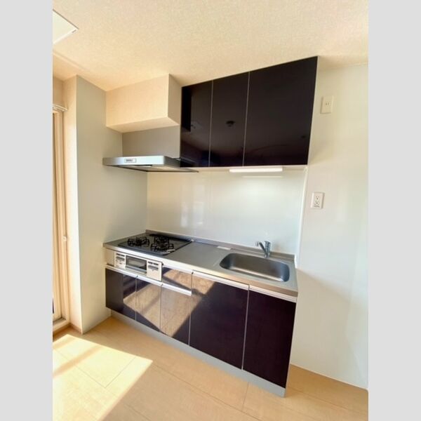 メルシー芙蓉 北糀谷 202号室システムキッチン