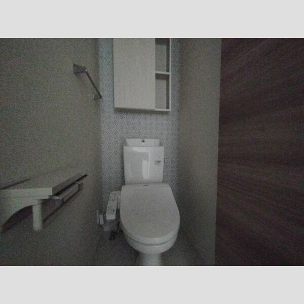 アヴァンス北烏山310号室 トイレ