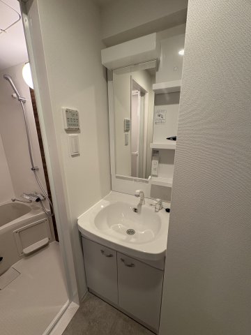 GENOVIA青砥Ⅱ0607号室 洗面