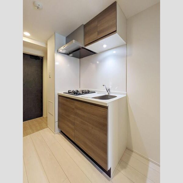 S-RESIDENCE横濱吉野町burgeon801号室 キッチン