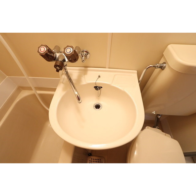 オートハイツ平塚 洗面