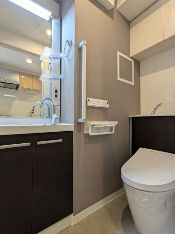 ソラシアレジデンス学芸大学Ⅱ0306号室 洗面