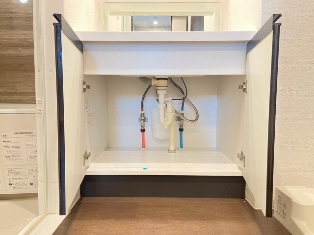 DIPS十条仲原WEST 洗面