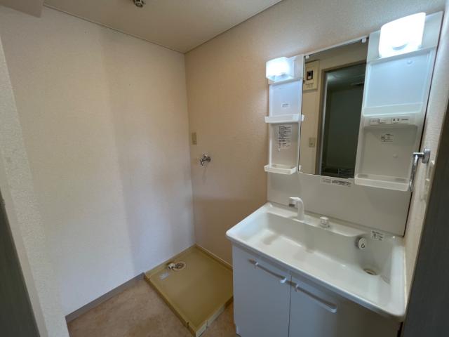 アメニティプレイス 洗髪洗面化粧台