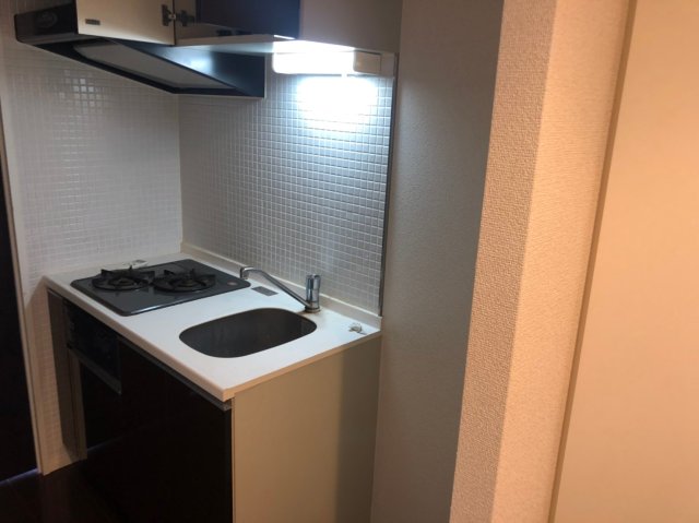 SYNEX HON-KOMAGOME ※過去退去時原状回復前のお写真です