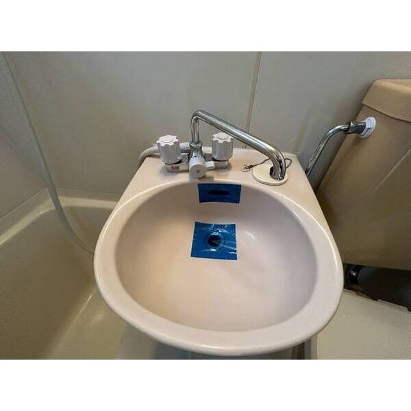 ピュアハウス藤棚三番館0206号室 洗面