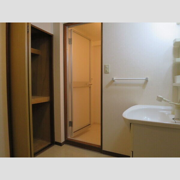 パインツリーコート203号室 洗面所