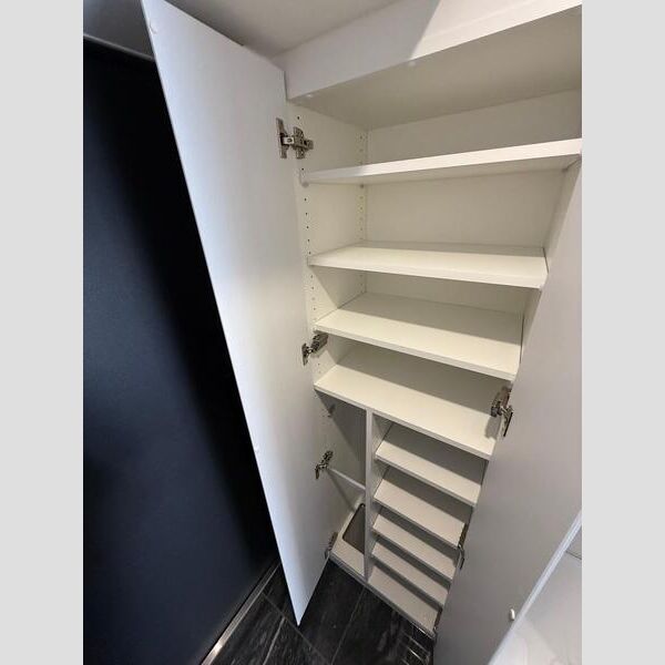 MAXIV横浜吉野町SOUTH301号室 収納