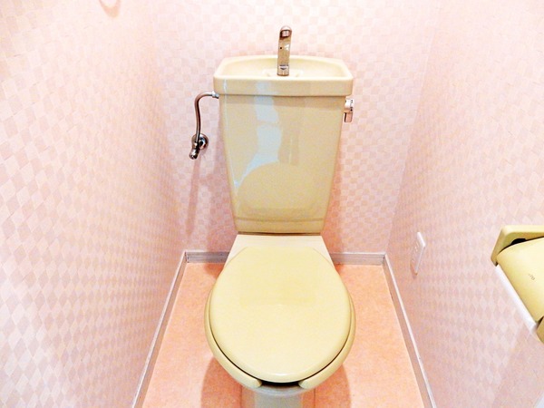 STROM　WESTEN トイレ