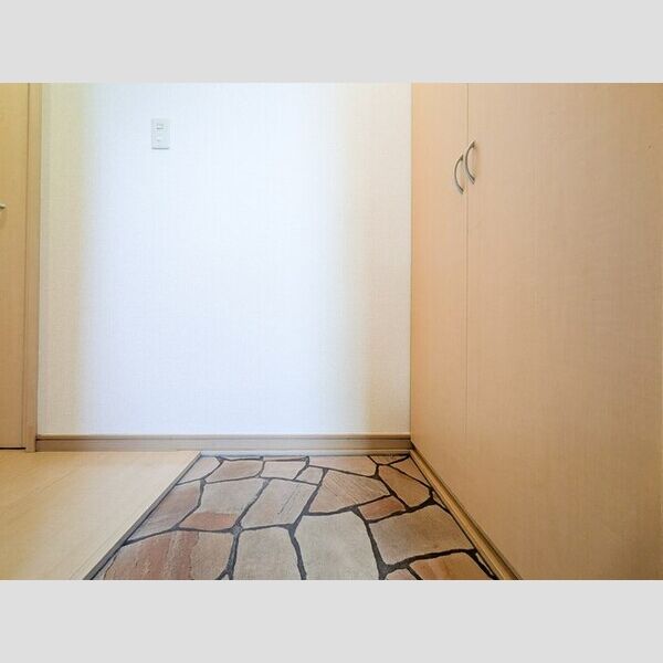 フェニックス　EFF101号室 玄関