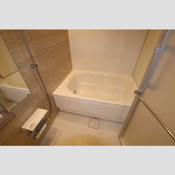 THE RejuvePort KISARAZU0802号室 浴室