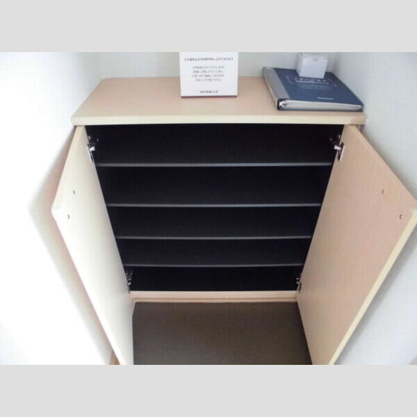 セジュール富士見206号室 シューズボックス