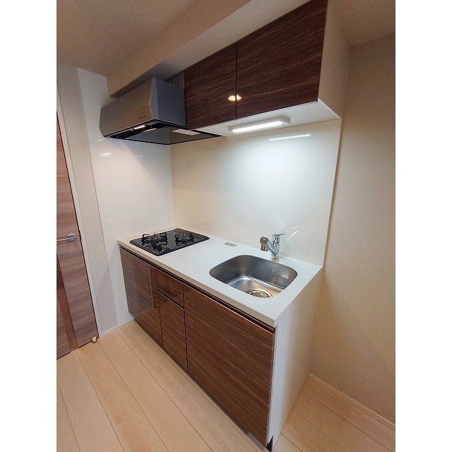 ドゥーエ亀戸Ⅱ0402号室 同建物別部屋の参考画像