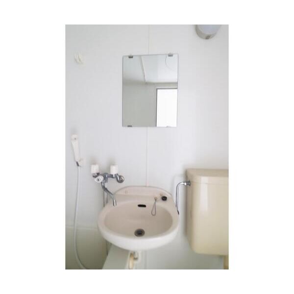 ユナイト横浜ポルトニョールの丘205号室 洗面