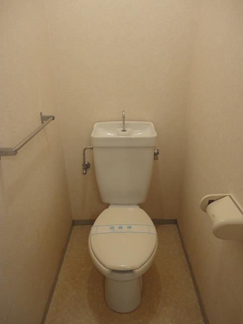 ダイヤ板橋コーポ0101号室 トイレ