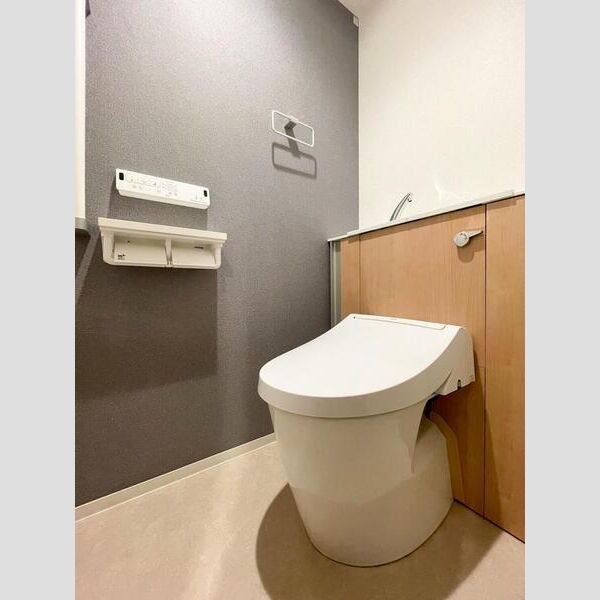 S-RESIDENCE富士見ヶ丘afford トイレ