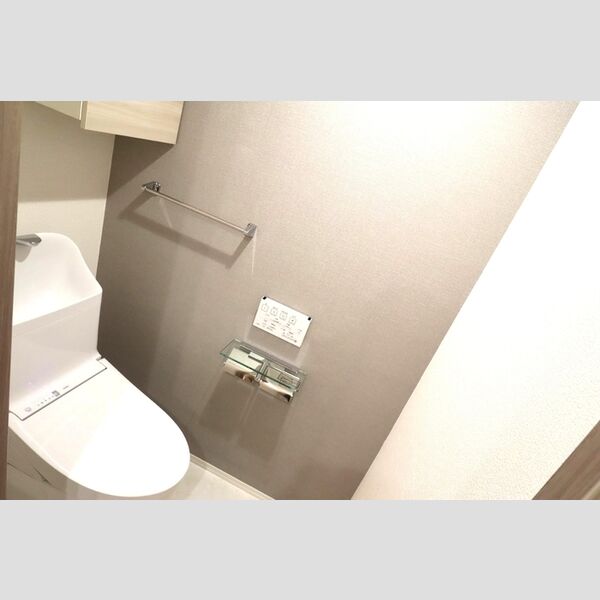 セレスティア西瑞江303号室 トイレ