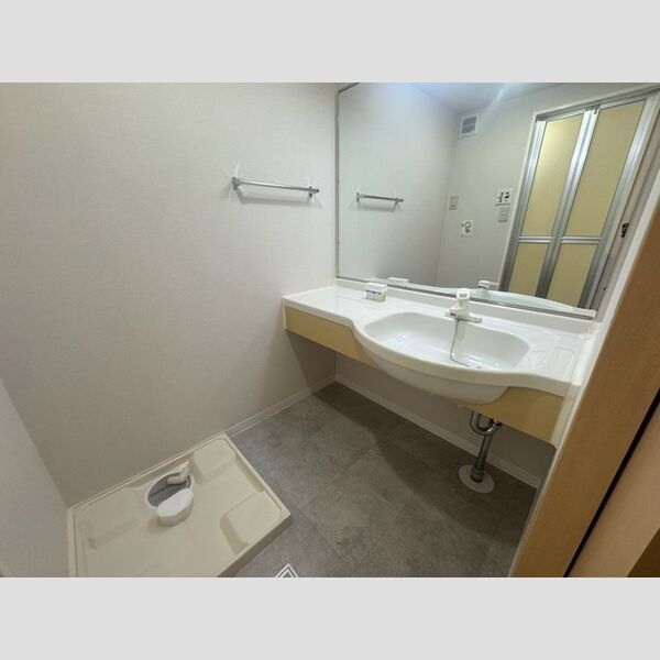 ラクサリー国分寺203号室 洗面所