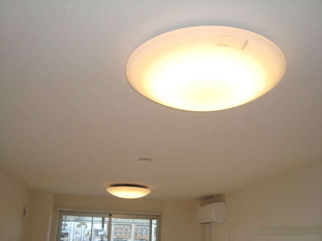 ストーン　フィールド 照明