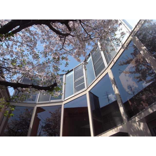 サクラノキテラス中目黒3階 眺望