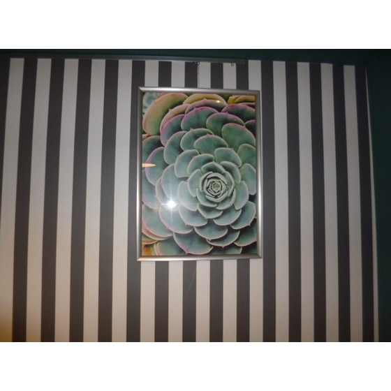 スカイコート西川口第２ 内観