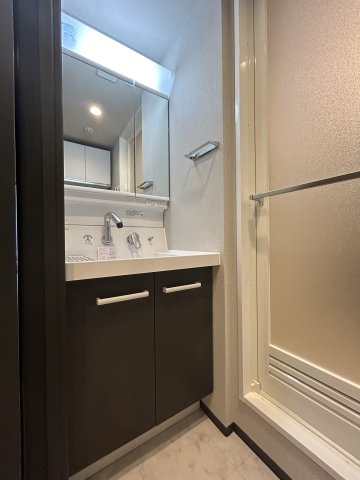 グローリオシェルト駒込 洗面