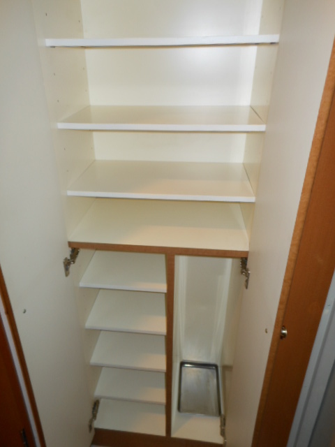 グランド・ガーラ日本橋茅場町9階 こまごまとしたものを収納できそうですね