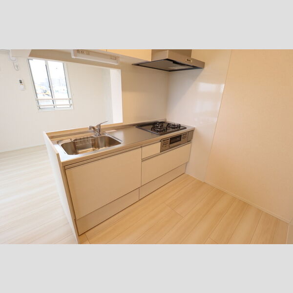パークサイド新検見201号室 キッチン