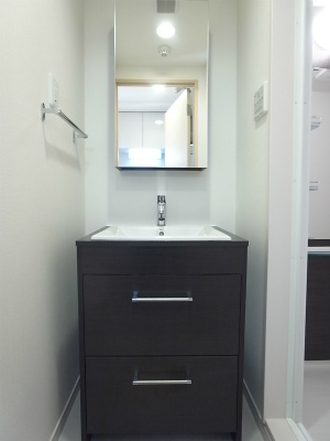 リブリ・コスズ 洗面