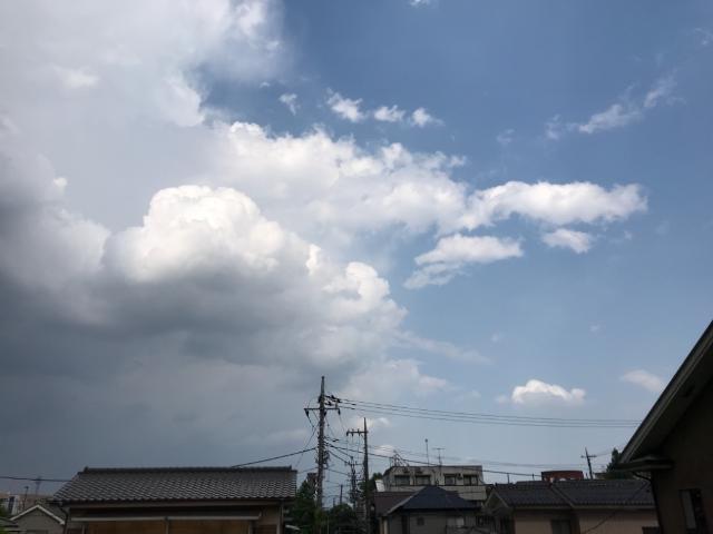 パークサイド大丸201号室 眺望