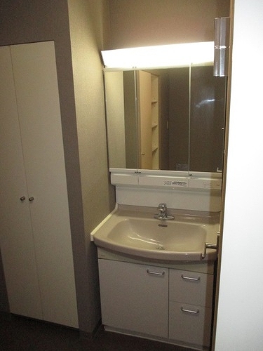 テレパレス船橋三咲Ｂ棟 洗面所　※前回募集時2020年6月撮影