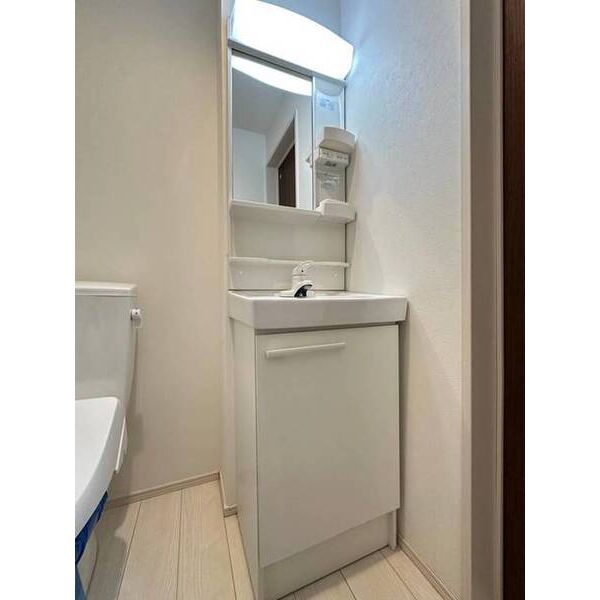インフィニティ大宮0301号室 洗面