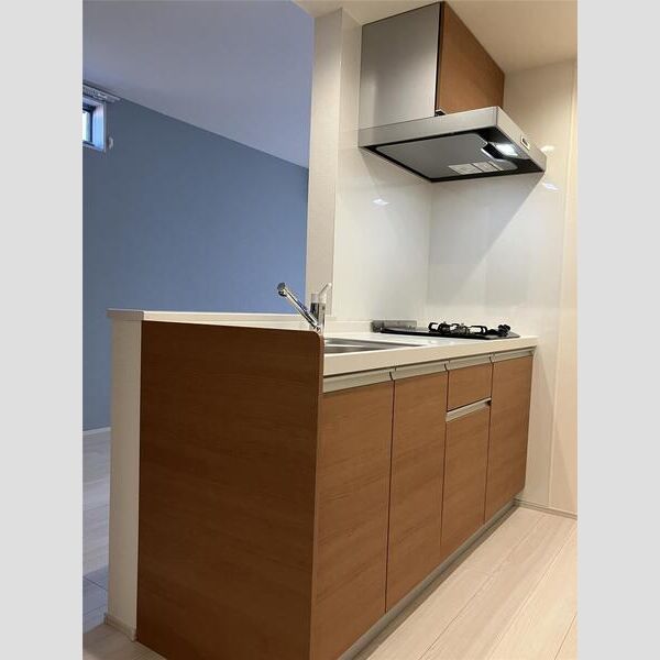 リーブルファイン若葉桜木104号室 キッチン