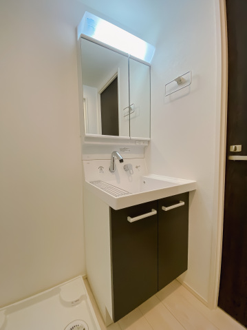 リブレスト篠崎203号室 洗面
