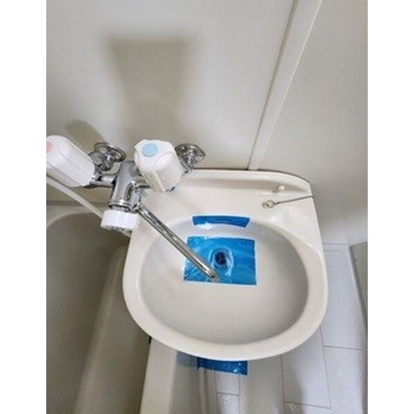 ロイヤルエモンド藤沢0103号室 洗面