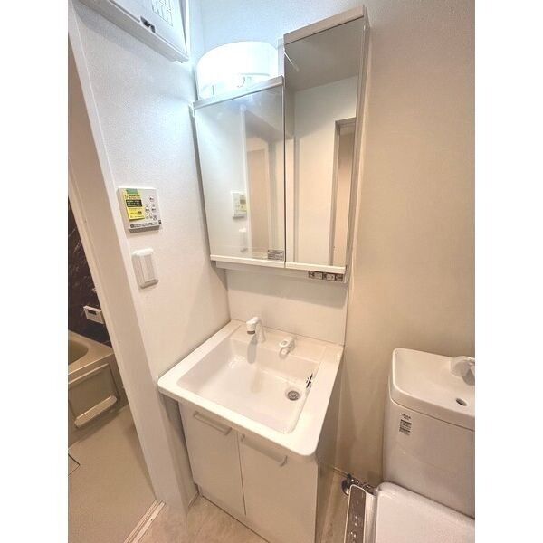 FOREST IWATSUKI205号室 洗面