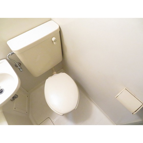 ダイホープラザ鶴見0201号室 トイレ