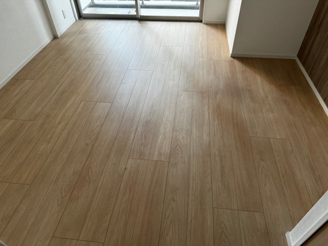 SYNEX 横濱阪東橋Ⅱ307号室 ※過去退去時のお写真です