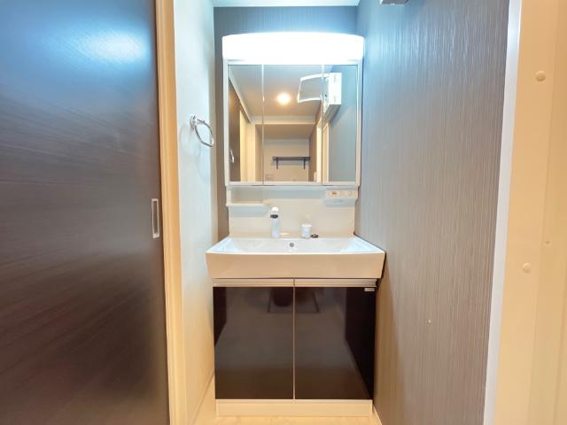 蔵の杜(くらのもり)101号室 洗髪洗面化粧台
