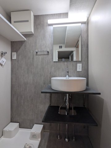 アピチェ田園調布0103号室 洗面