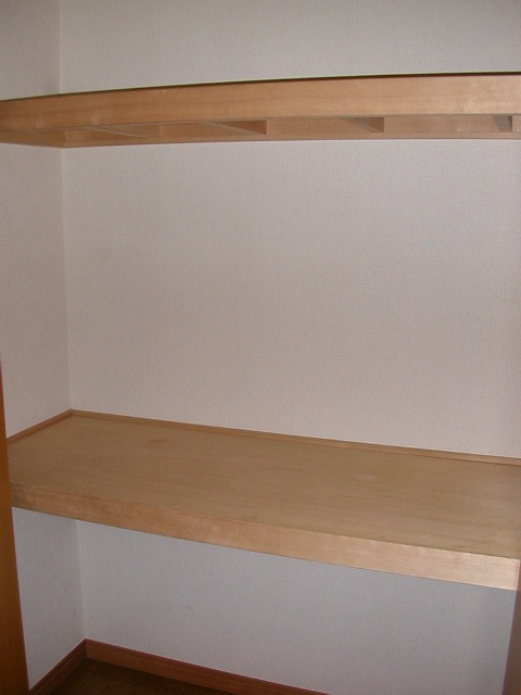 レオミノール明神町0205号室 収納