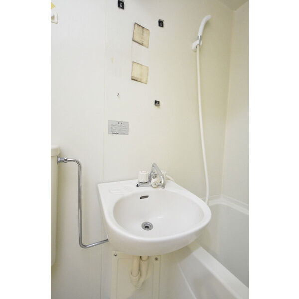ヒルズガーデン東雪谷0205号室 洗面