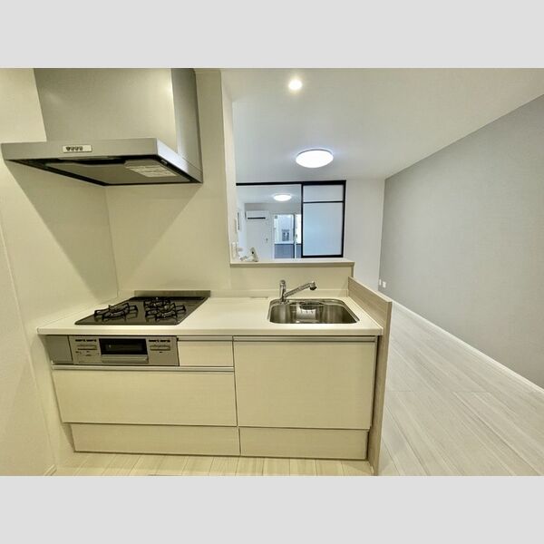 ディーシンシア システムキッチン