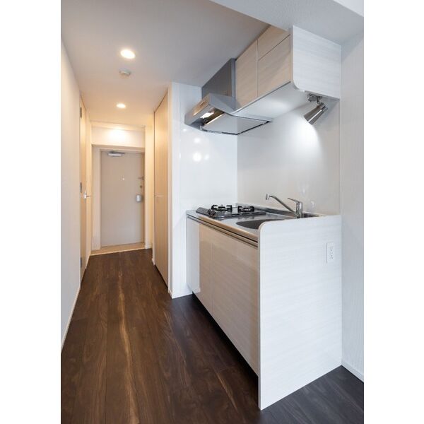 エルフォルテ東京EAST403号室 部屋その他